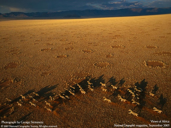 دنیای حیوانات(عکس)