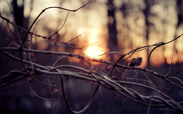 این تصاویر زیبا را ببینید!