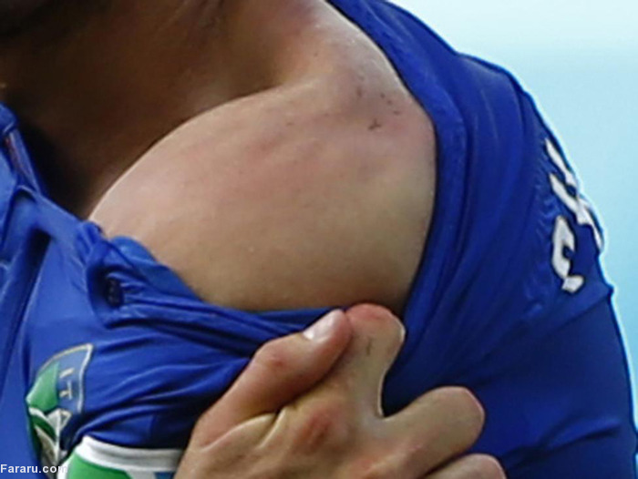 برترین عکس‌های 2014  رویترز