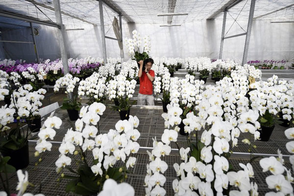 دیدنی های امروز