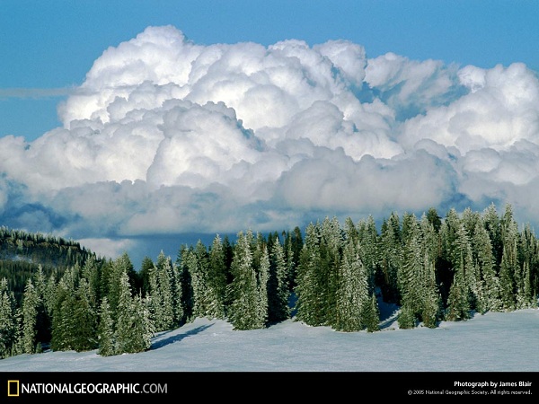 این تصاویر زیبا را ببینید!