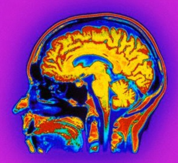 نخستین مرد لالی که با داروی ضد اضطراب زبان باز کرد