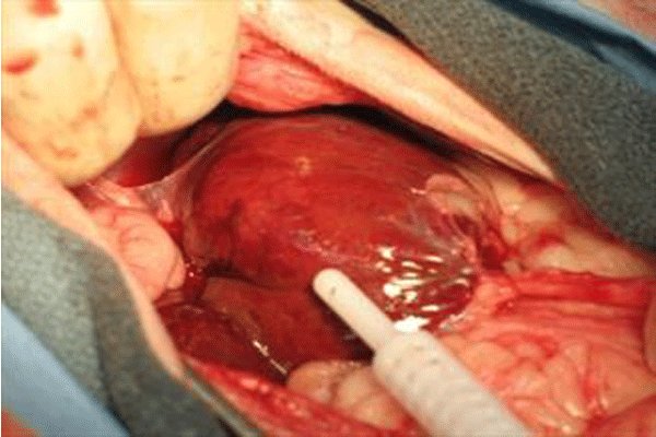 عجیب‌ترین رخدادهای پزشکی در سالی که گذشت