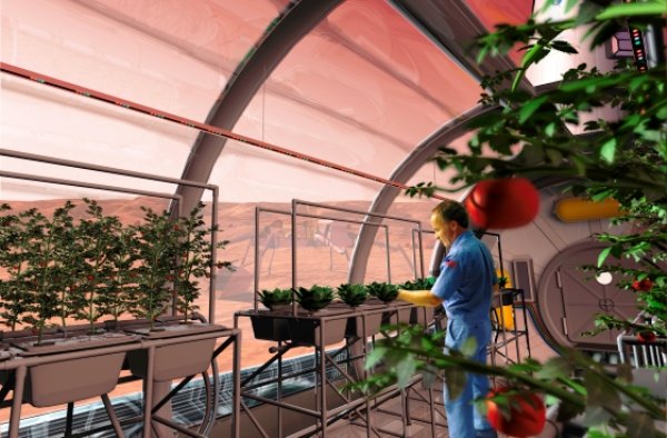 ساکنان مریخ غذای ۷ ساله را می خورند