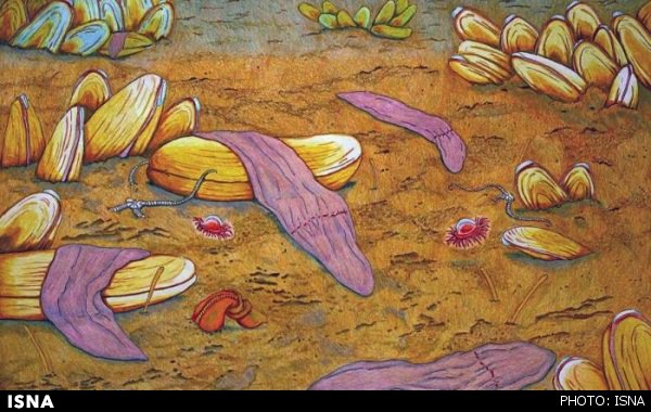 کشف جانوری که نه مغز دارد و نه چشم