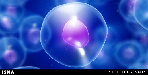 انجام دومین پیوند اتولوگ موفق آنمی آپلاستیک جهان