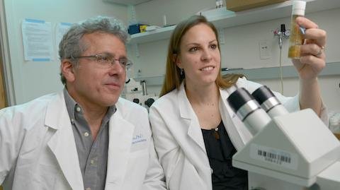 ژن بازدارنده تومور کشف شد ژن بازدارنده تومور کشف شد