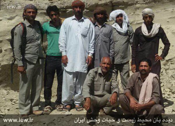 نجات یک پلنگ با تلاش محیط بانان هرمزگانی