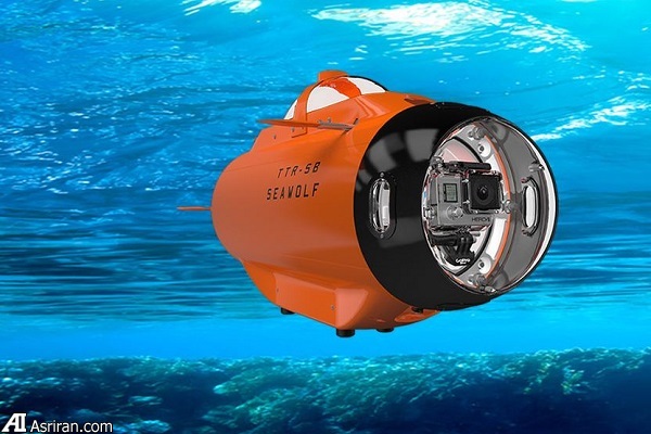 لذت تصویربرداری اکشن در زیر آب با گرگ دریا! لذت تصویربرداری اکشن در زیر آب با گرگ دریا!