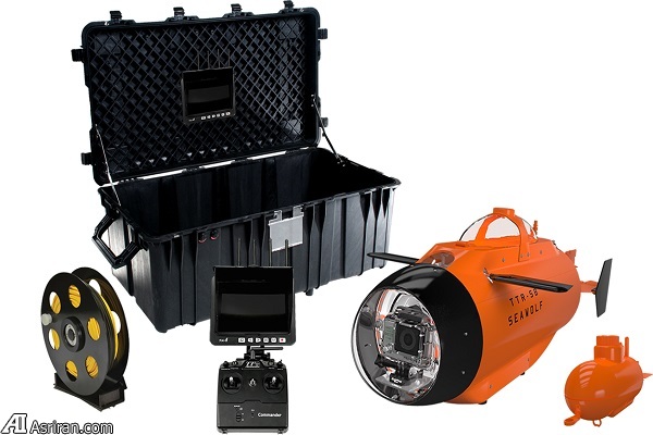 لذت تصویربرداری اکشن در زیر آب با گرگ دریا! لذت تصویربرداری اکشن در زیر آب با گرگ دریا!