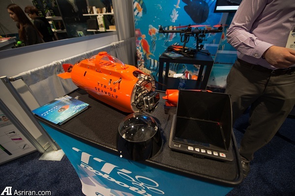 لذت تصویربرداری اکشن در زیر آب با گرگ دریا! لذت تصویربرداری اکشن در زیر آب با گرگ دریا!