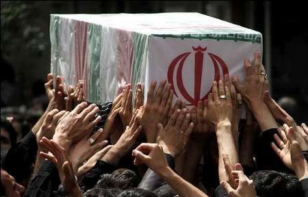 ما و این 175 نفر