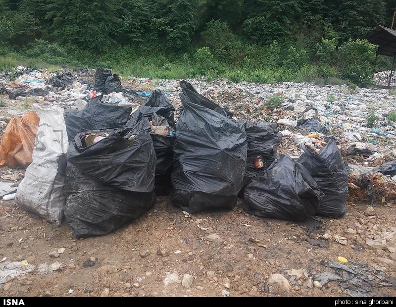 ایست قلبی جنگل‌های مازندران!