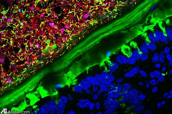 شکار لحظهها در دنیای کوچک اطراف ما شکار لحظهها در دنیای کوچک اطراف ما
