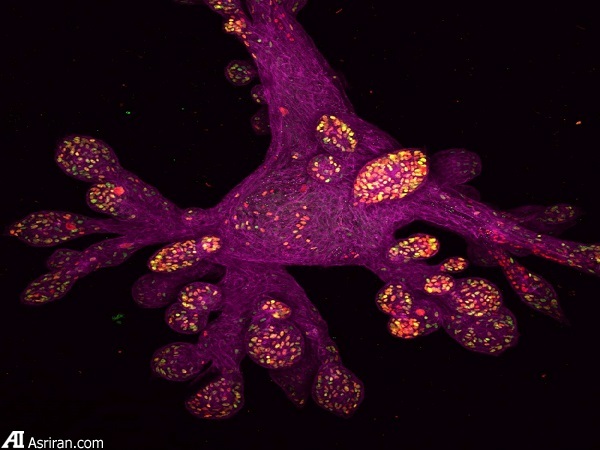 شکار لحظهها در دنیای کوچک اطراف ما شکار لحظهها در دنیای کوچک اطراف ما