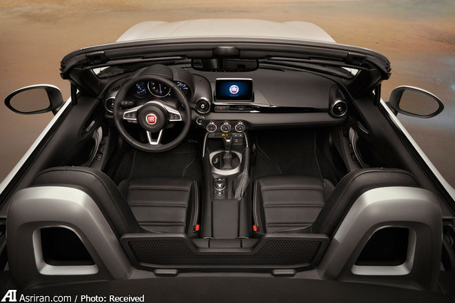 سیب ایتالیایی زیر درخت ژاپنی