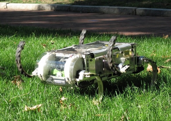 ساخت کوچکترین ربات دنیا با الهام از حشرات