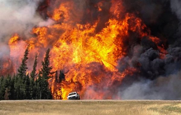 جهان وارد وضعیت اضطراری شد جهان وارد وضعیت اضطراری شد