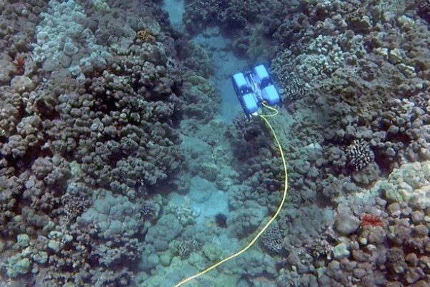 روبات غواص ساخته شد