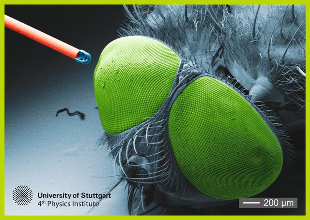 دوربینی که به اندازه یک دانه نمک است+تصاویر