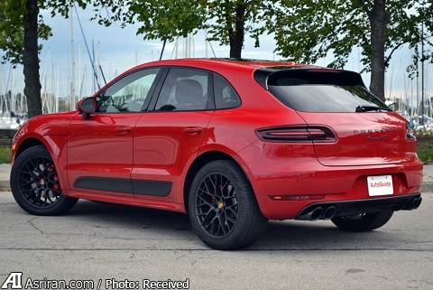 اعلام جنگ ببر انگلیسی با گربه ملوس آلمان‌ها