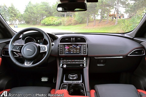 اعلام جنگ ببر انگلیسی با گربه ملوس آلمان‌ها