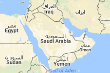 انتقاد از عربستان سعودی به دلیل افزایش اعدام ها