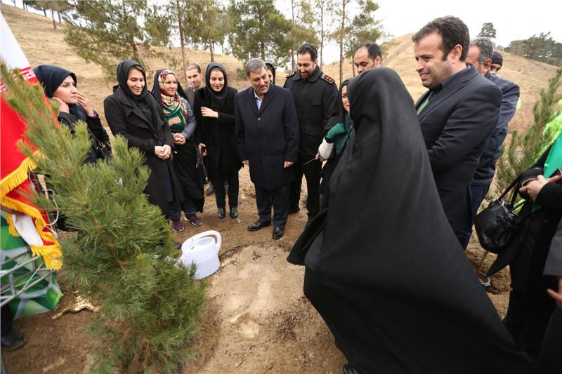 احداث پردیس گردشگری با حمایت بانک گردشگری آغاز شد