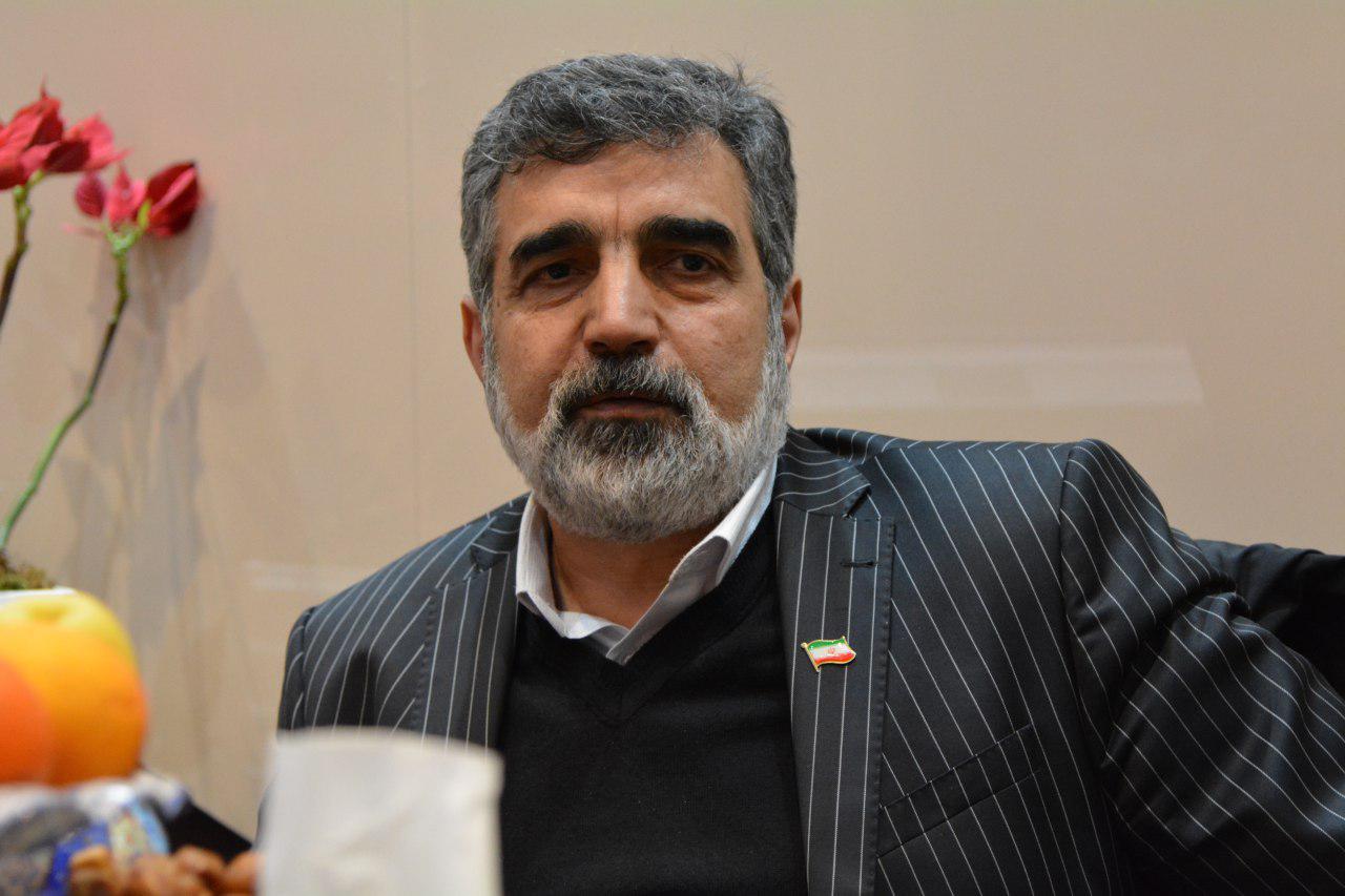 کمالوندی: اروپا به دنبال مکانیزم&zwnj;هایی است که از سرمایه گذاری شرکت&zwnj;های خود در ایران حمایت کند/ تیم آمریکایی برای اینکه بتواند اجماعی علیه ایران درست کند با مشکلات زیادی روبرو خواهد بود/در عالم سیاست زورگویی کاربردی ندارد/اگر برجام تقض شود كمتر از دو سال به بیشتر از آن میزان قبل و تعيين شده در قانون می&zwnj;رسیم