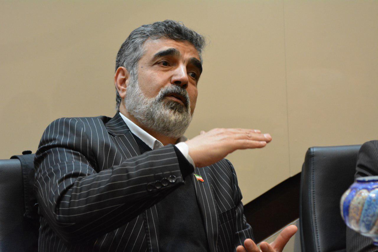 کمالوندی: اروپا به دنبال مکانیزم&zwnj;هایی است که از سرمایه گذاری شرکت&zwnj;های خود در ایران حمایت کند/ تیم آمریکایی برای اینکه بتواند اجماعی علیه ایران درست کند با مشکلات زیادی روبرو خواهد بود/در عالم سیاست زورگویی کاربردی ندارد/اگر برجام تقض شود كمتر از دو سال به بیشتر از آن میزان قبل و تعيين شده در قانون می&zwnj;رسیم