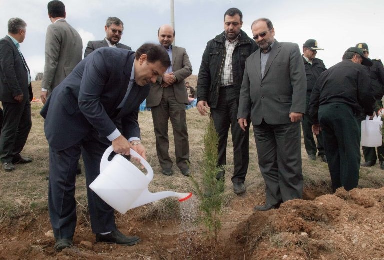 کاشت 8000 درخت در بازداشتگاه اوین