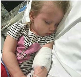 بیماری مرگبار در چنگ گربه&zwnj;های خانگی (+عکس)