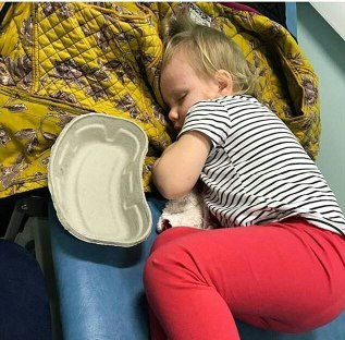 بیماری مرگبار در چنگ گربه&zwnj;های خانگی (+عکس)