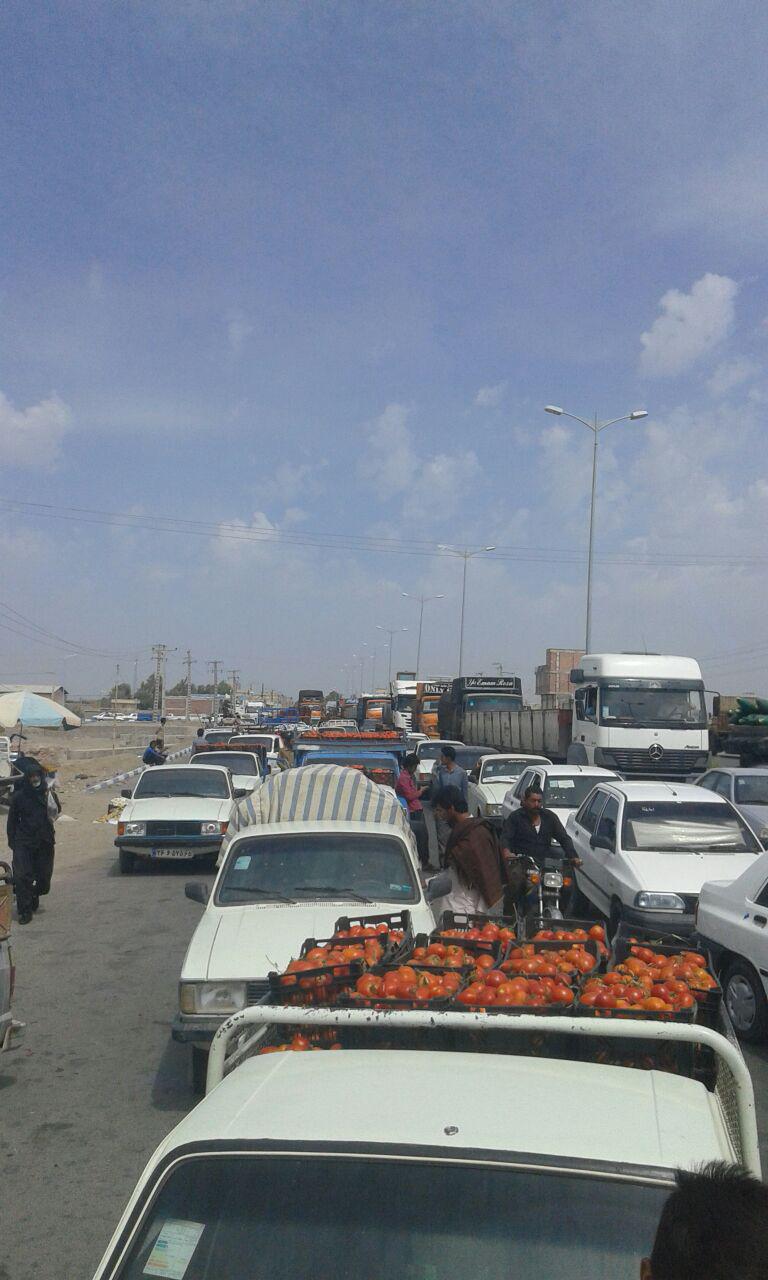 کشاورزان معترض، جاده ترانزیتی رودبار-جازموریان را بستند/ اگر محصول را الساعه نخرند، همه&zwnj;اش از بین خواهد رفت / گزارش رجانیوز از وضع اسفبار کشاورزان جنوب کرمان که صدایشان به هیچکس نمی&zwnj;رسد (+عکس)