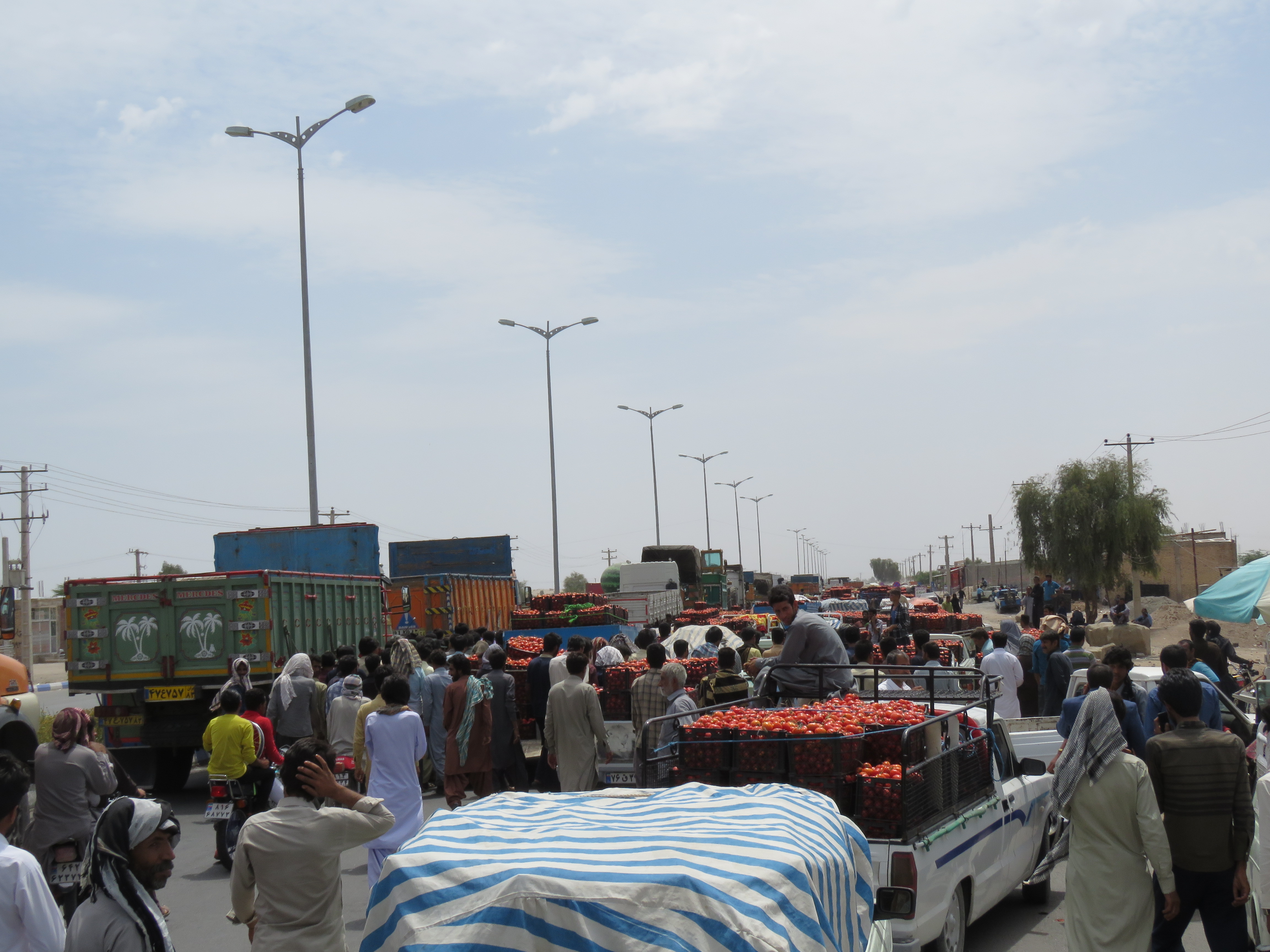کشاورزان معترض، جاده ترانزیتی رودبار-جازموریان را بستند/ اگر محصول را الساعه نخرند، همه&zwnj;اش از بین خواهد رفت / گزارش رجانیوز از وضع اسفبار کشاورزان جنوب کرمان که صدایشان به هیچکس نمی&zwnj;رسد (+عکس)