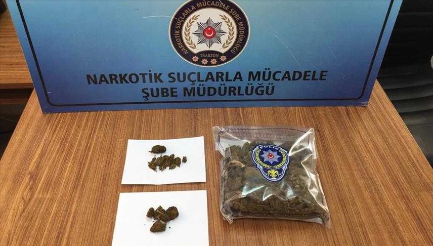 کشف مواد مخدر در یک خودروی پلاک ایران در ترکیه