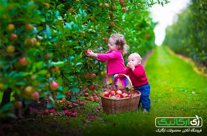 بهترین مرجع&nbsp;شناسائی و خرید محصولات ارگانیک کجاست؟