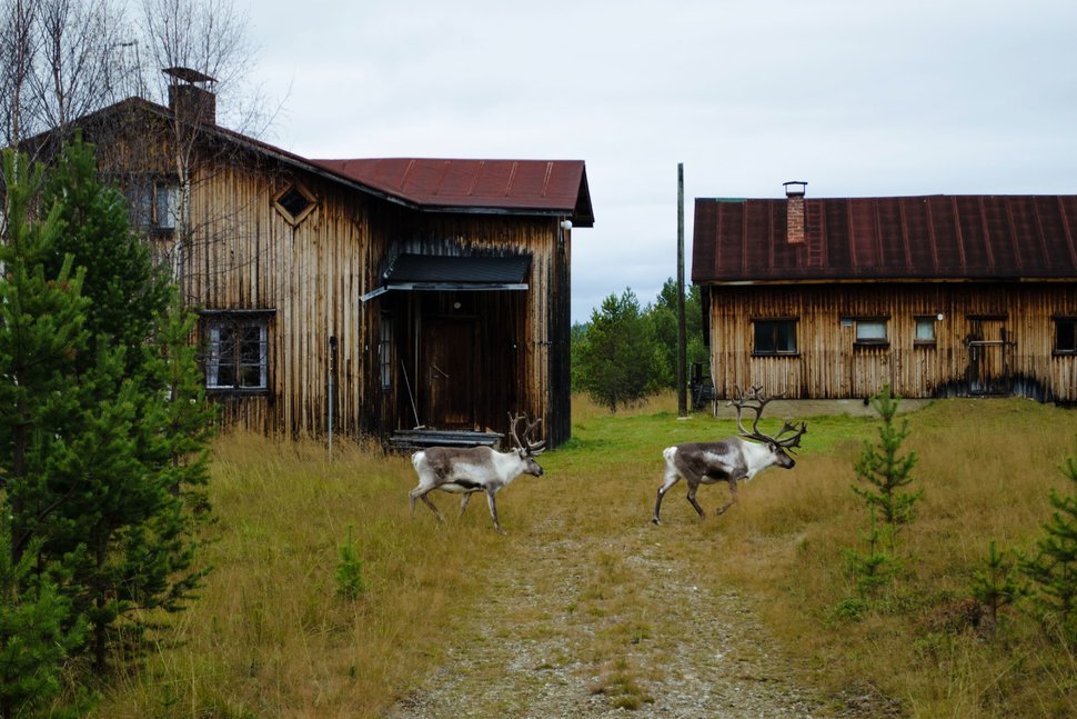 خوش&zwnj;بخت&zwnj;ترین کشورهای جهان در سال 2019