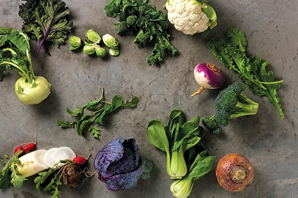 نسخه گیاهی برای پیشگیری از آترواسکلروز نسخه گیاهی برای پیشگیری از آترواسکلروز