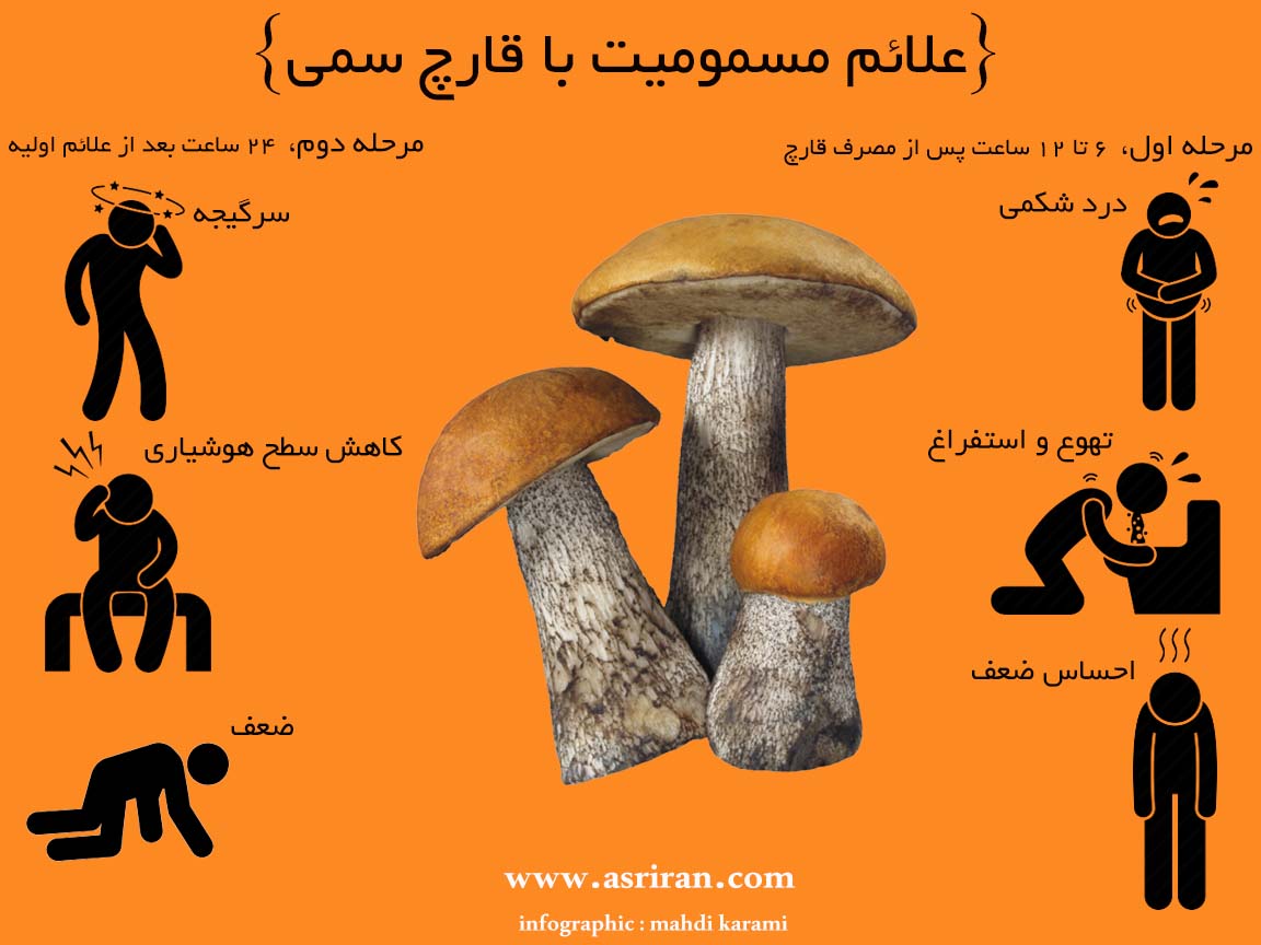 علائم مسمومیت با قارچ سمی (اینفوگرافیک)