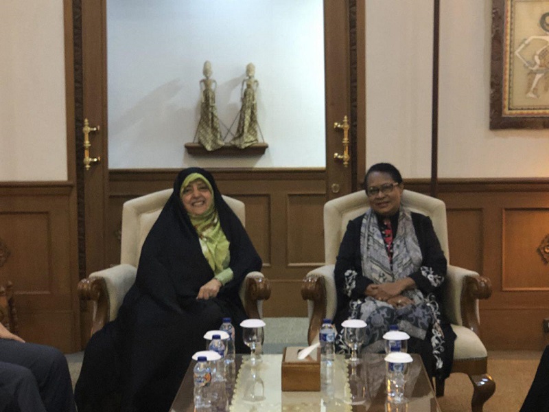 فرستاده ویژه رئیس جمهوری وارد اندونزی شد