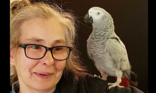 یک طوطی با دستیار صوتی تنقلات سفارش داد! (+عکس)