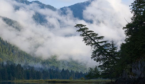 بزرگترین دریاچههای جهان (+عکس) دریاچه خرس بزرگ