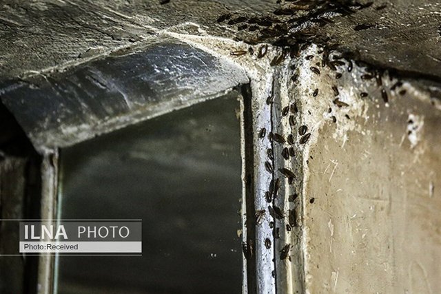 زندگی کارگر، دانشجو و معلمِ بازنشسته با معتاد و سارق زیر یک سقف/&laquo;فقر و بی&zwnj;پولی&raquo; نقطه اشتراک ساکنان خانه&zwnj;های مجردی