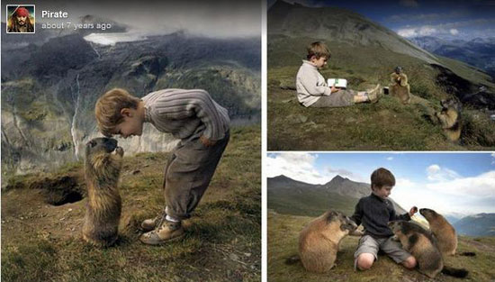 مارموت&zwnj;های آلپ