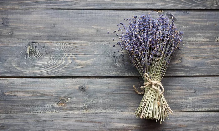 تولید هورمون شادی را در بدن خود تقویت کنید! تولید هورمون شادی را در بدن خود تقویت کنید!