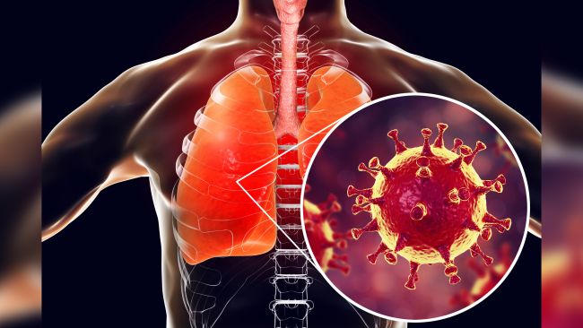 هرآنچه باید درباره کروناویروس جدید بدانید هرآنچه باید درباره کروناویروس جدید بدانید