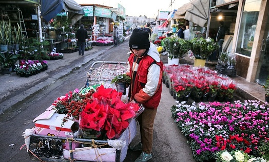 آتش &laquo;کرونا&raquo; به جان بازار گل تهران/ گرسنگی تا اطلاع ثانوی!