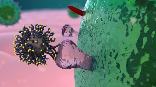 ترکیب سه دارو