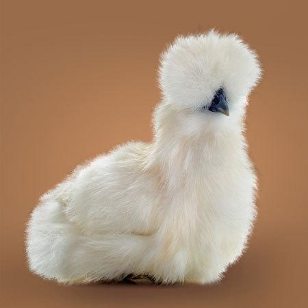 حقایقی جالب که جهان را از زاویهای متفاوت نشان میدهند (+عکس) حقایقی جالب که جهان را از زاویهای متفاوت نشان میدهند (+عکس)